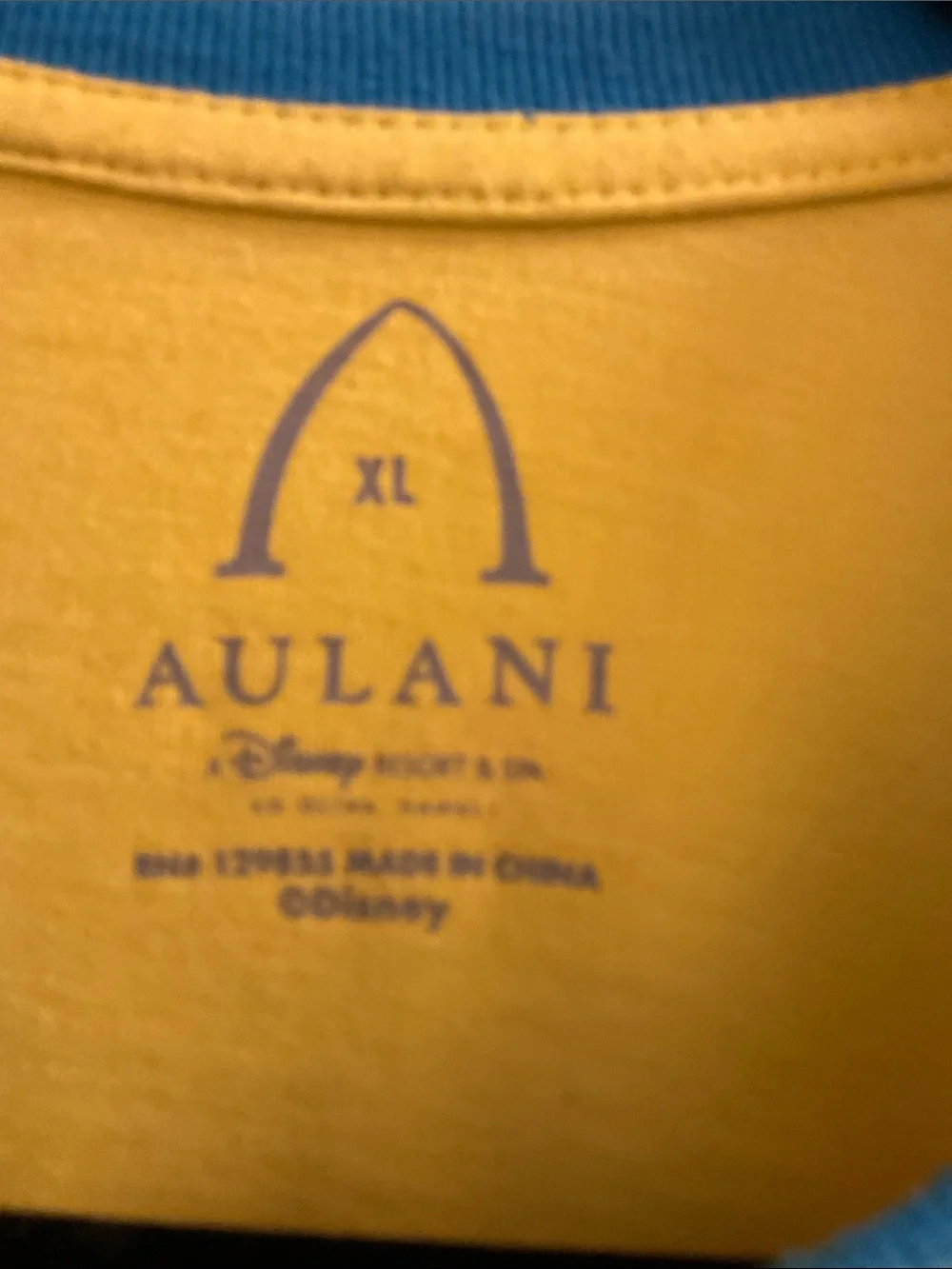 Disney Aulani - TEE Surfs-Up Dog- Yellow/Blue - Short Sleeve - Size XL